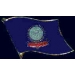 IDAHO PIN STATE FLAG PIN